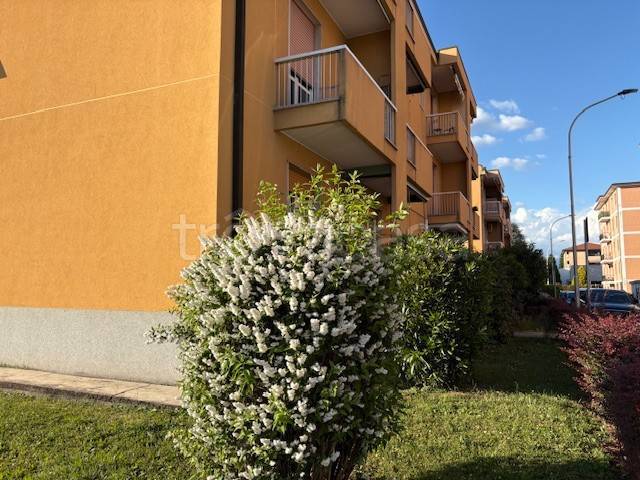 immagine annuncio 1 di 4
