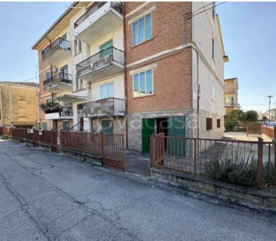 immagine annuncio 11 di 14