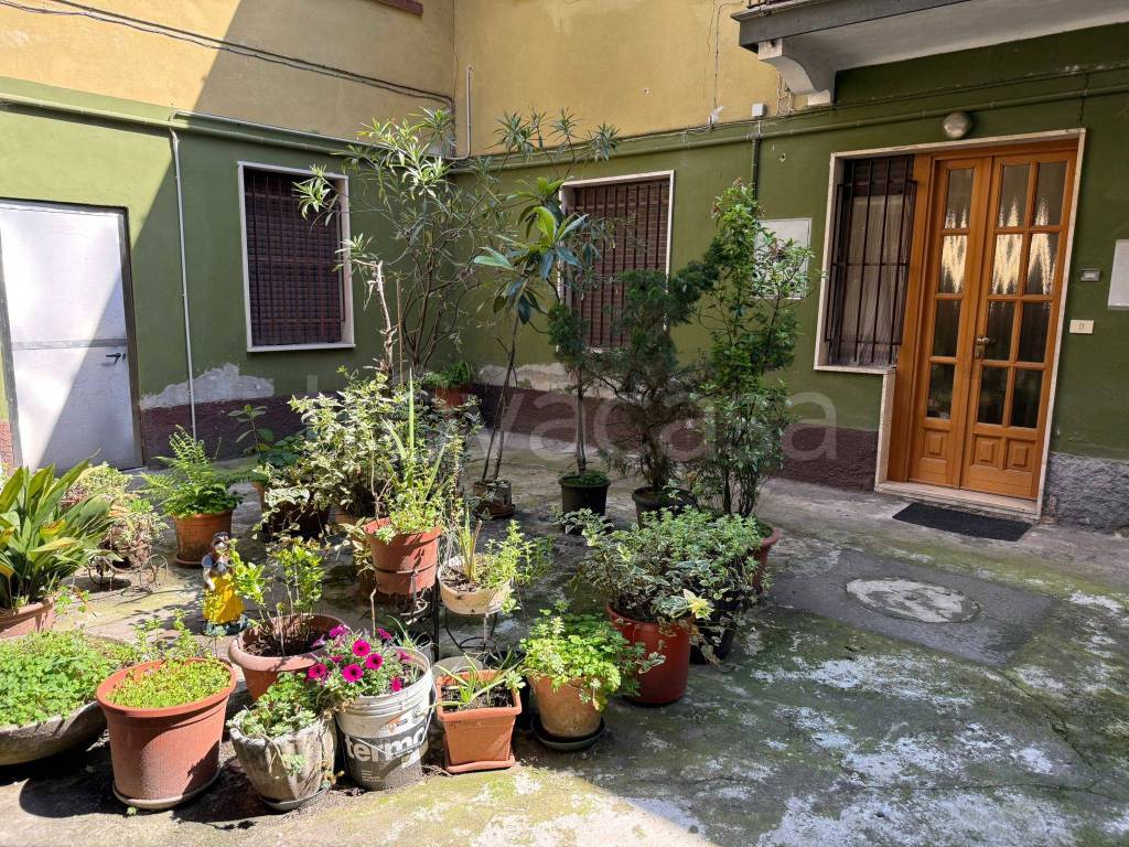 immagine annuncio 5 di 7