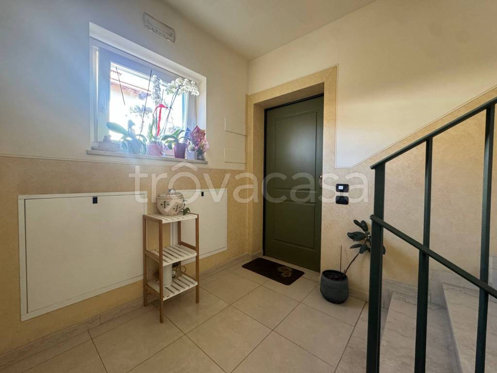 immagine annuncio 12 di 13