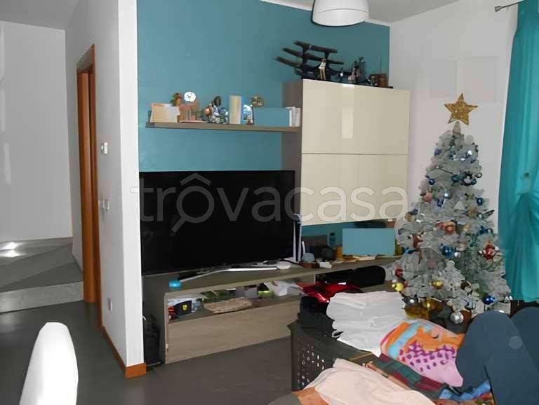 immagine annuncio 2 di 12