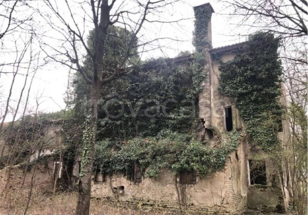 immagine annuncio 4 di 14