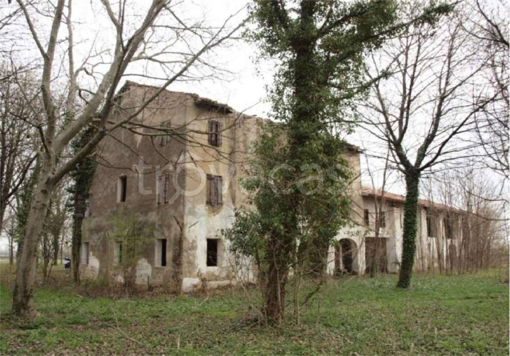 immagine annuncio 8 di 14