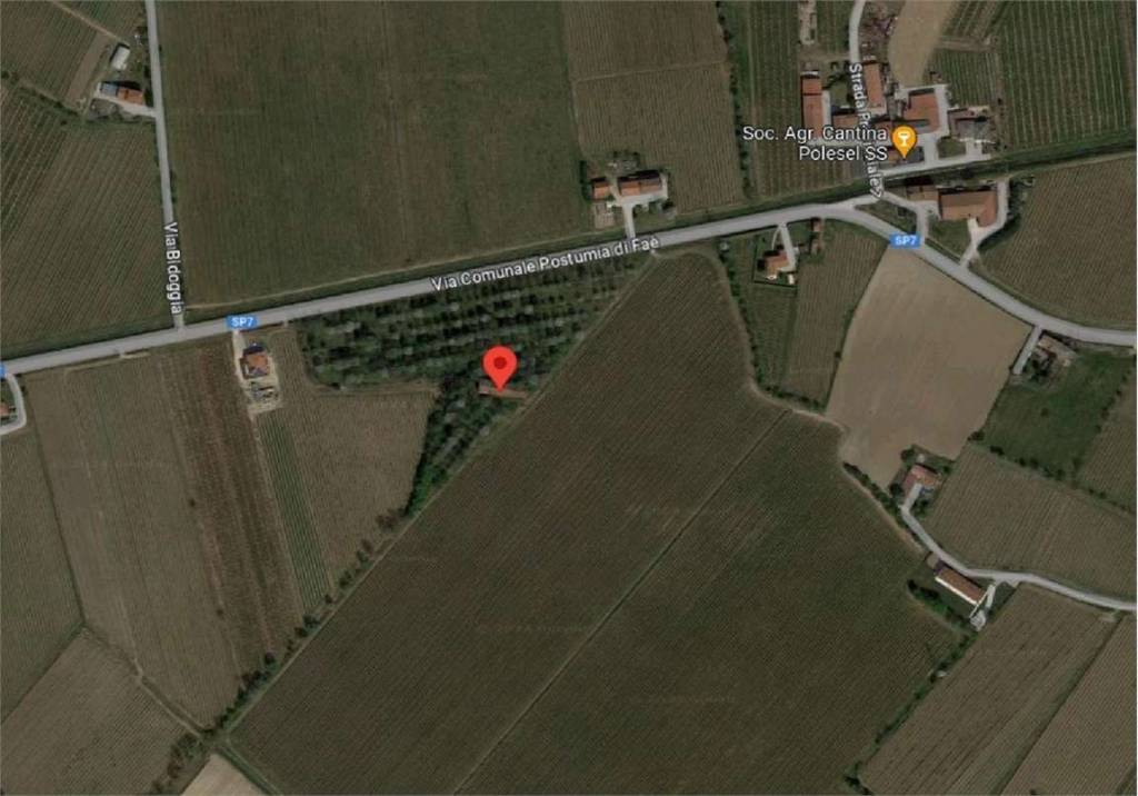 immagine annuncio 11 di 14