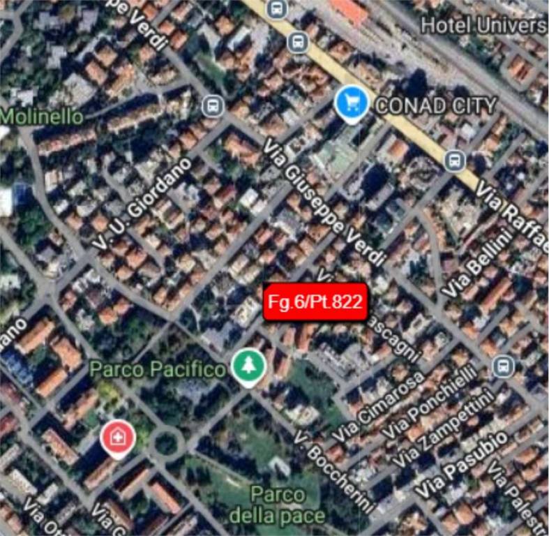 immagine annuncio 3 di 11