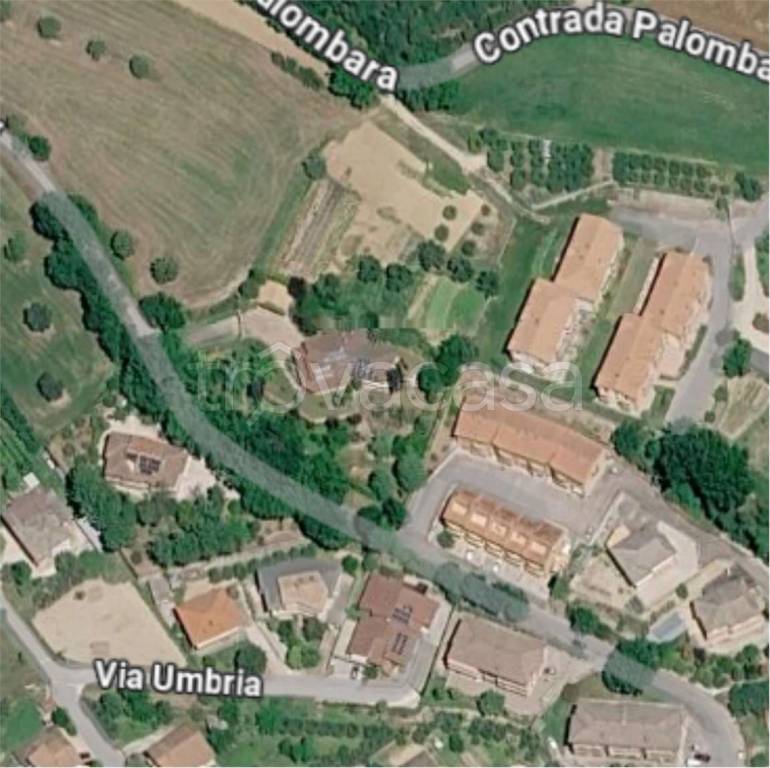immagine annuncio 3 di 12