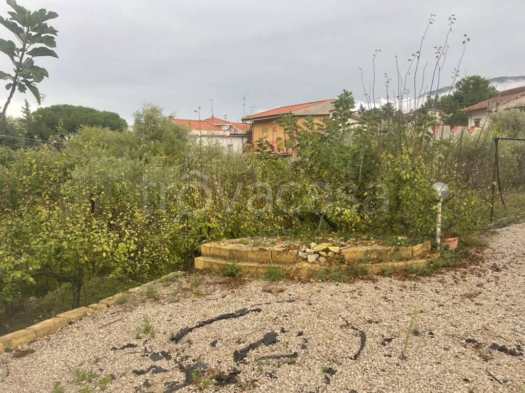 immagine annuncio 6 di 11