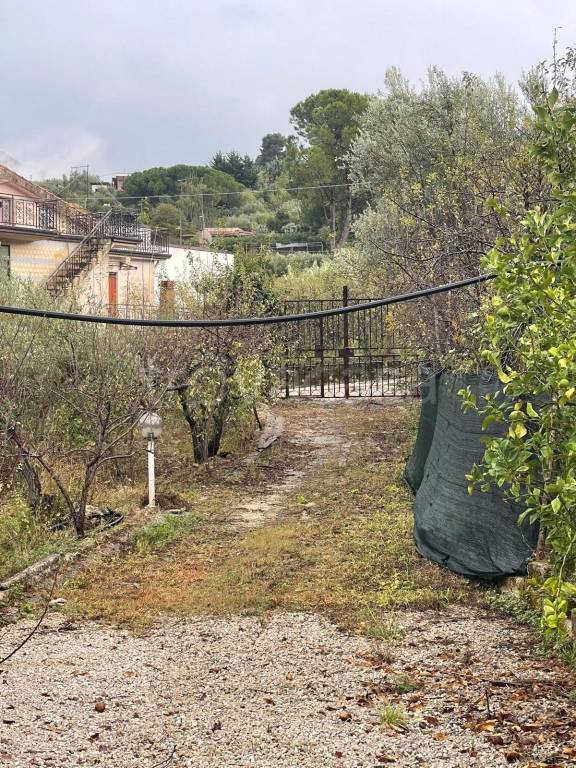 immagine annuncio 7 di 11