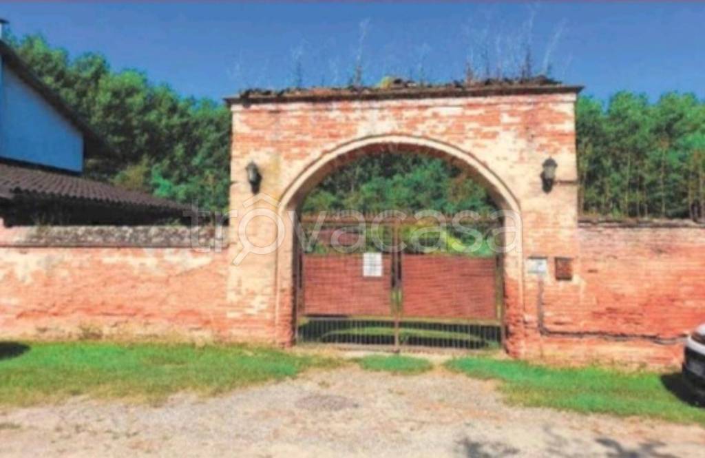 immagine annuncio 9 di 14
