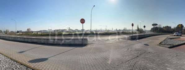 immagine annuncio 4 di 8