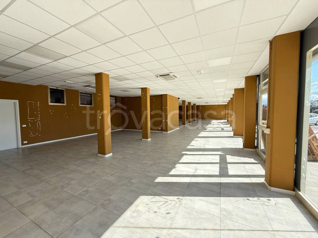 immagine annuncio 8 di 11