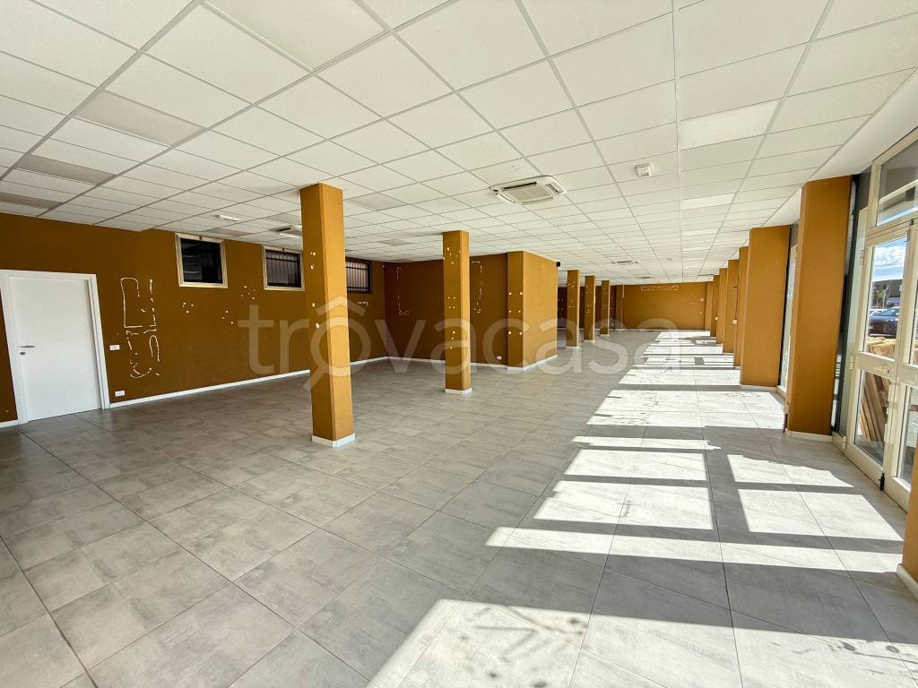 immagine annuncio 9 di 11