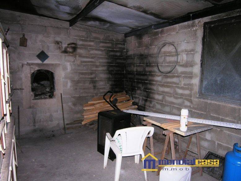 immagine annuncio 10 di 14