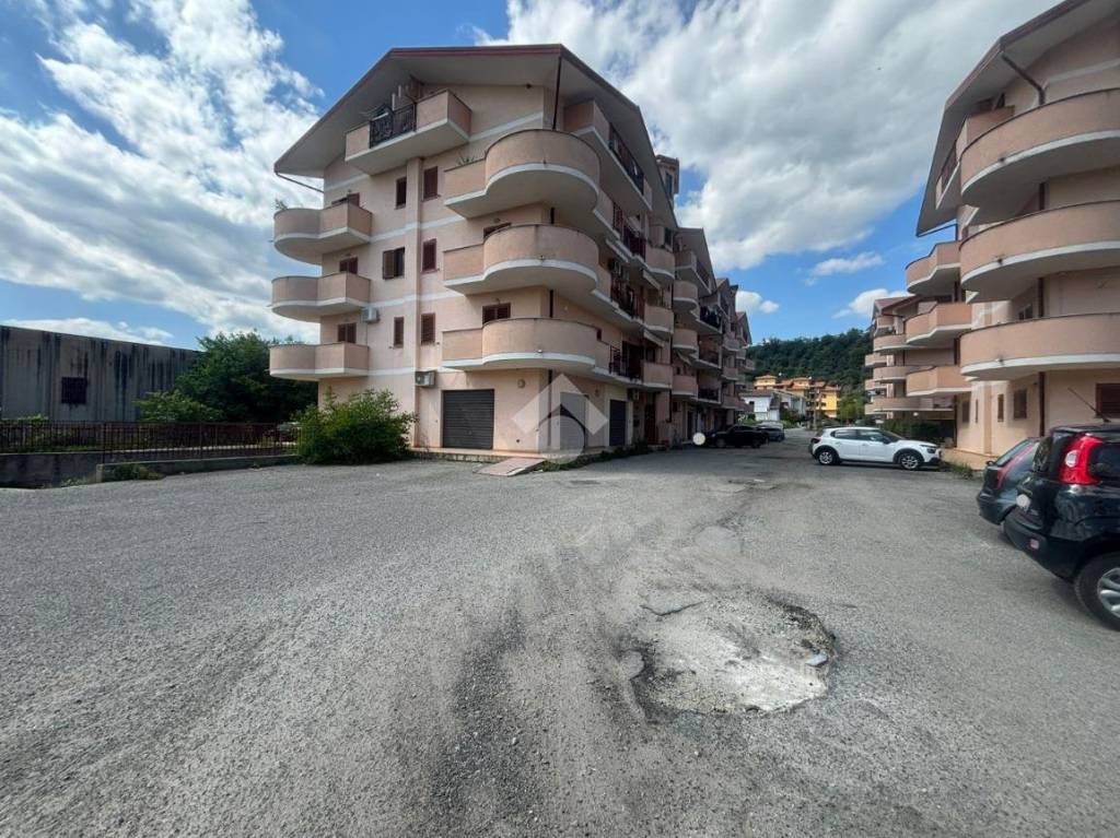 immagine annuncio 9 di 14