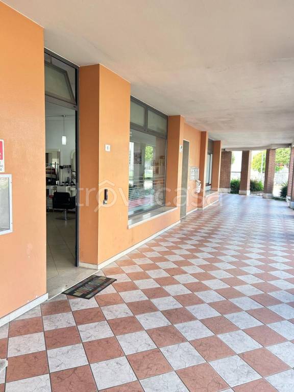 immagine annuncio 1 di 7