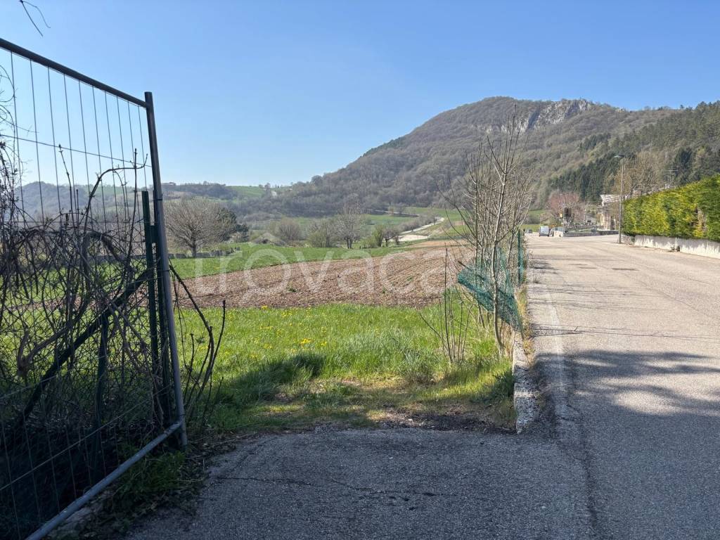 immagine annuncio 2 di 6