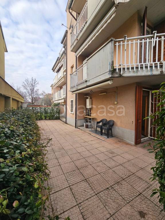 immagine annuncio 6 di 15