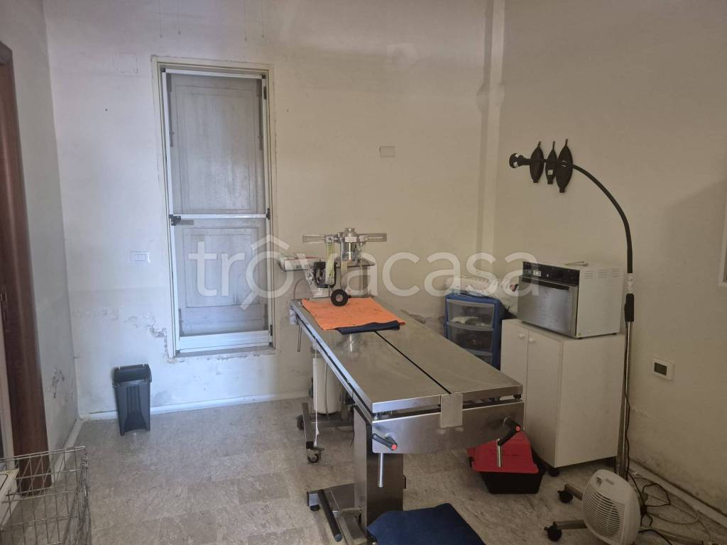 immagine annuncio 2 di 7