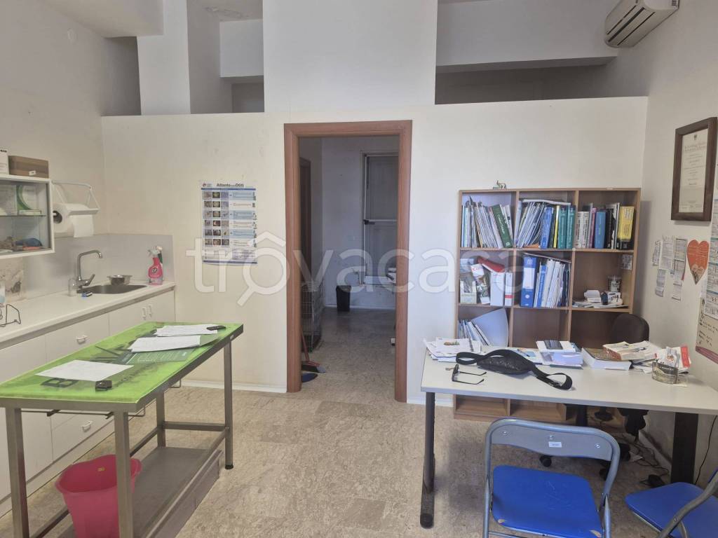 immagine annuncio 3 di 7