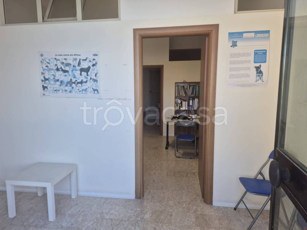 immagine annuncio 4 di 7