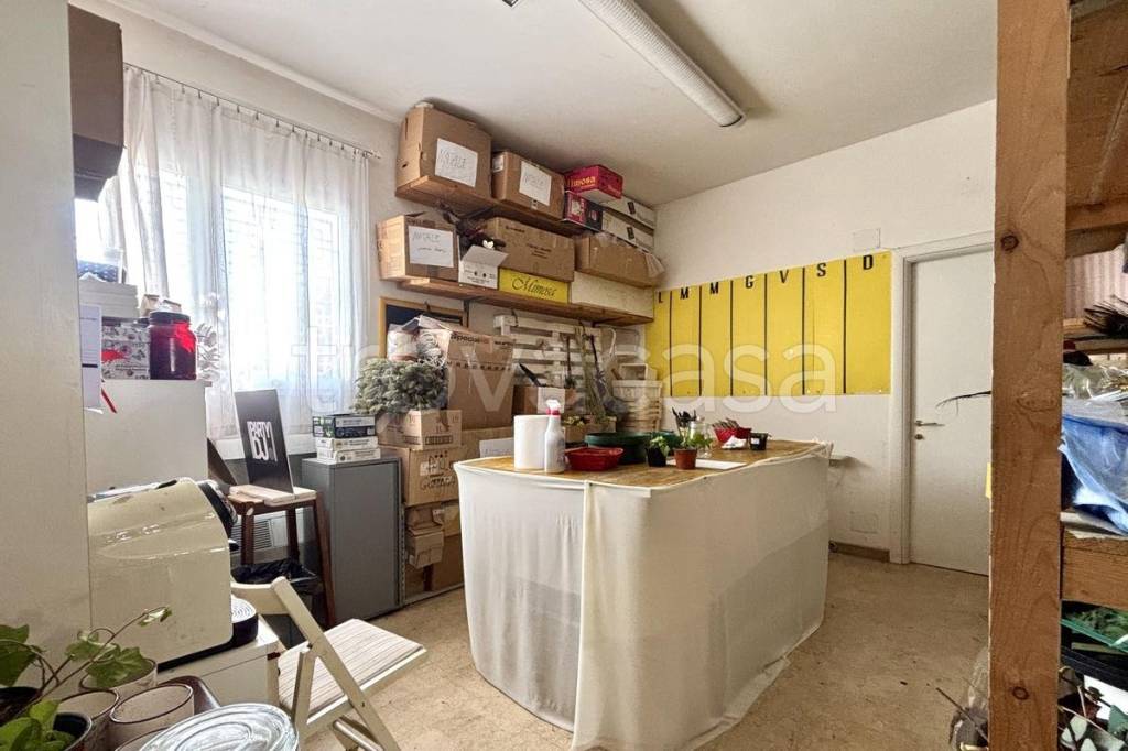 immagine annuncio 9 di 13