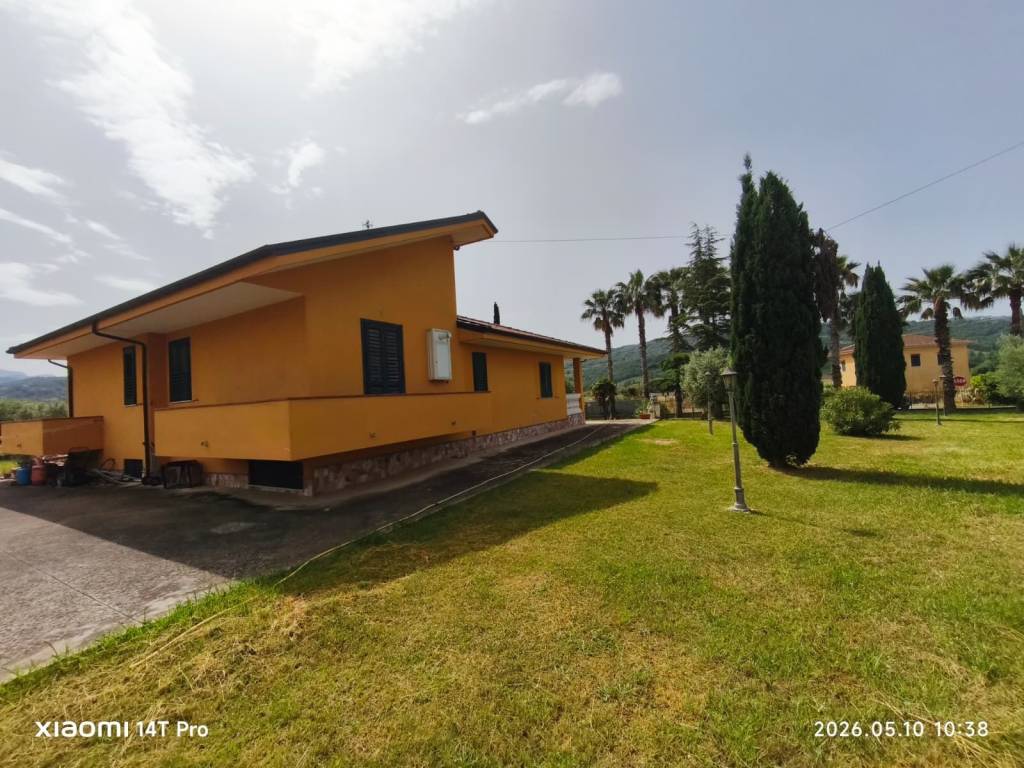 immagine annuncio 5 di 11