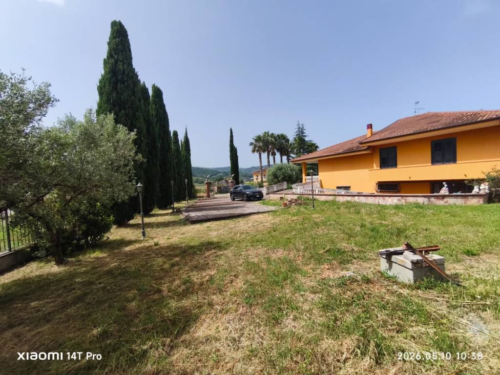 immagine annuncio 10 di 11