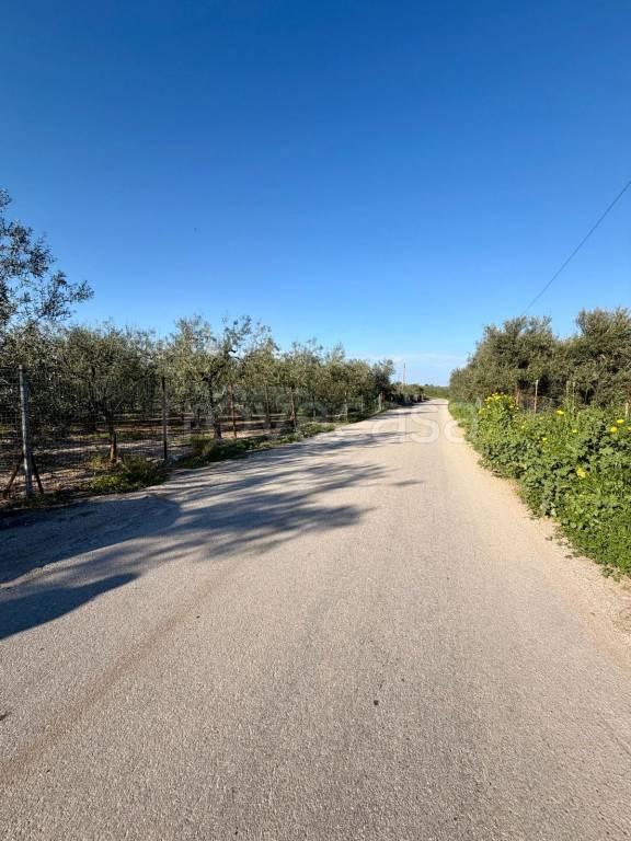immagine annuncio 2 di 4