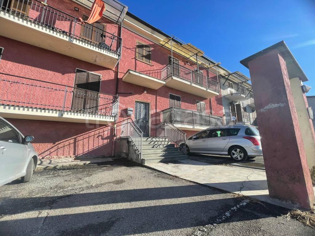 immagine annuncio 1 di 12