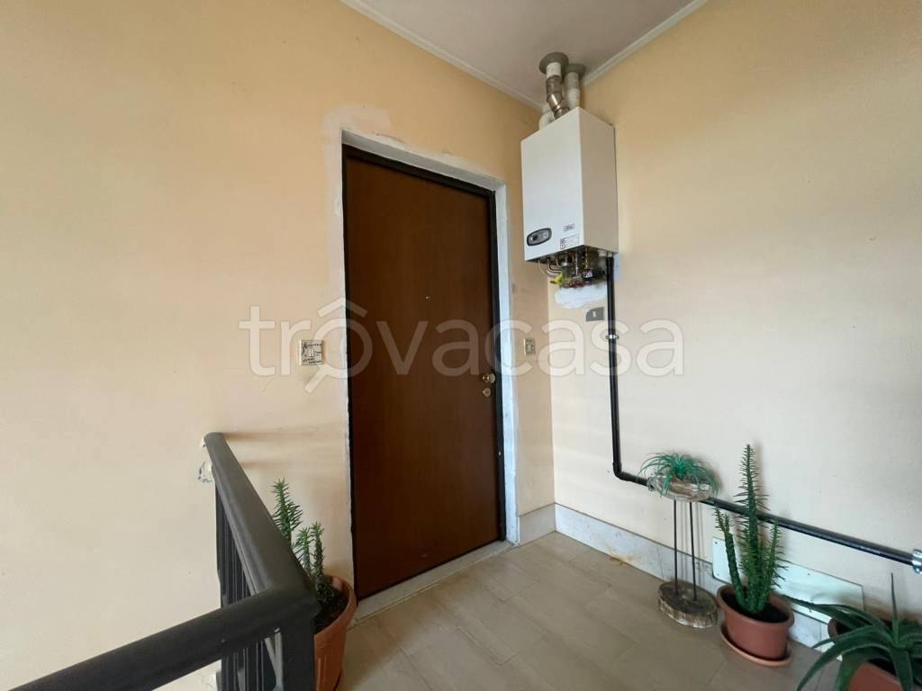 immagine annuncio 2 di 12