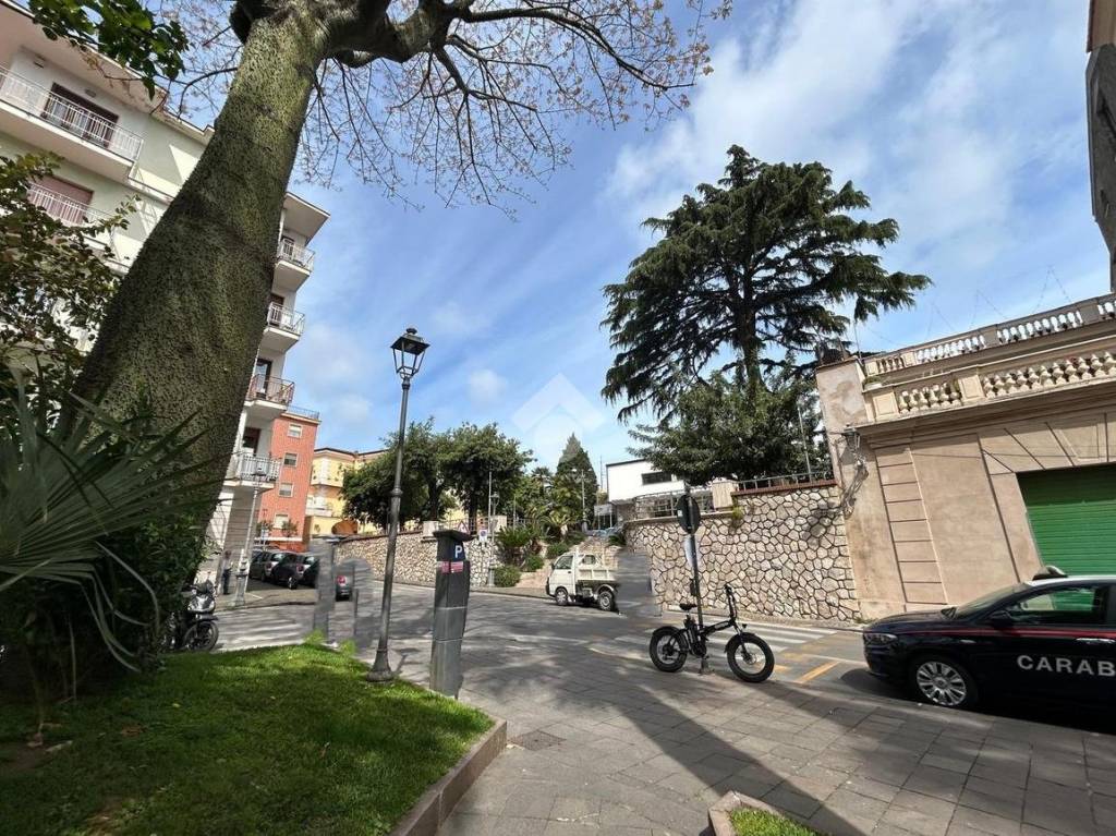 immagine annuncio 12 di 14