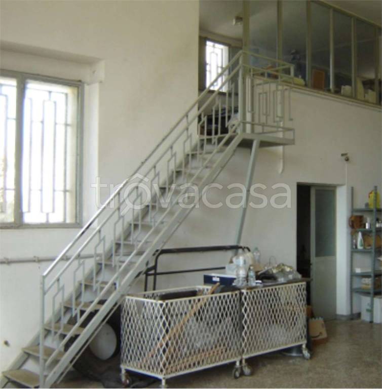 immagine annuncio 4 di 11