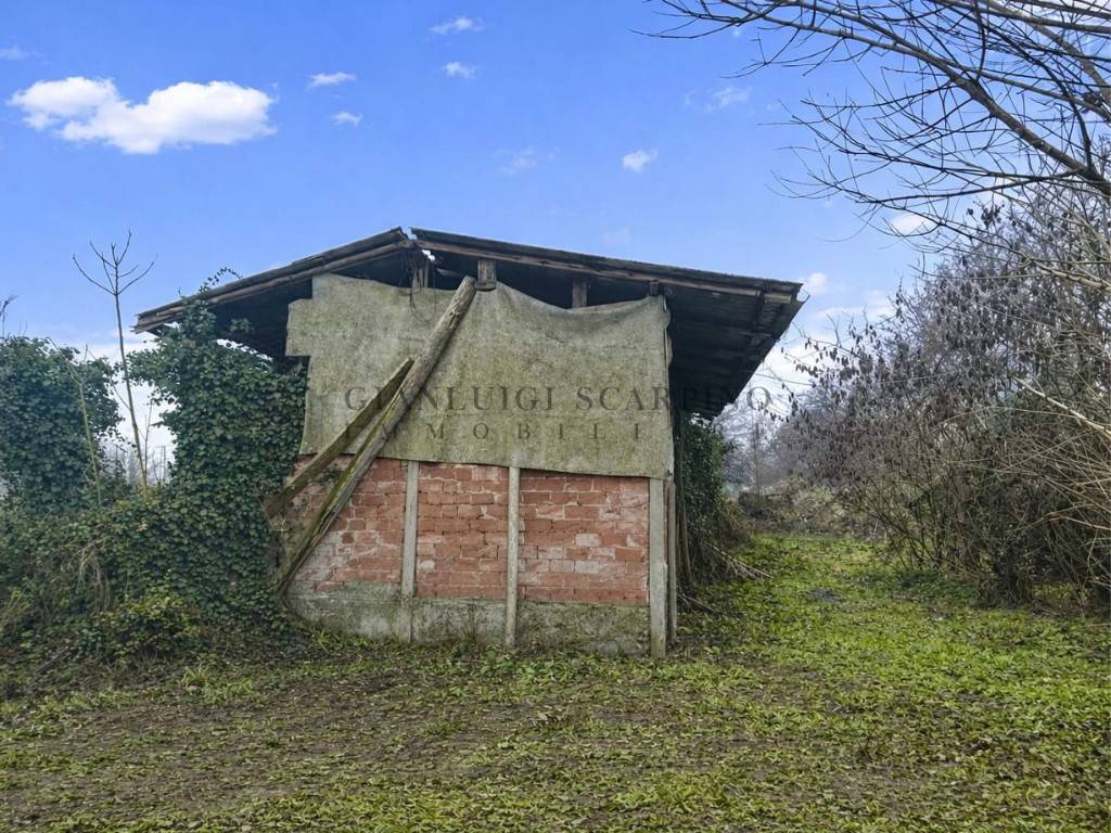 immagine annuncio 8 di 13