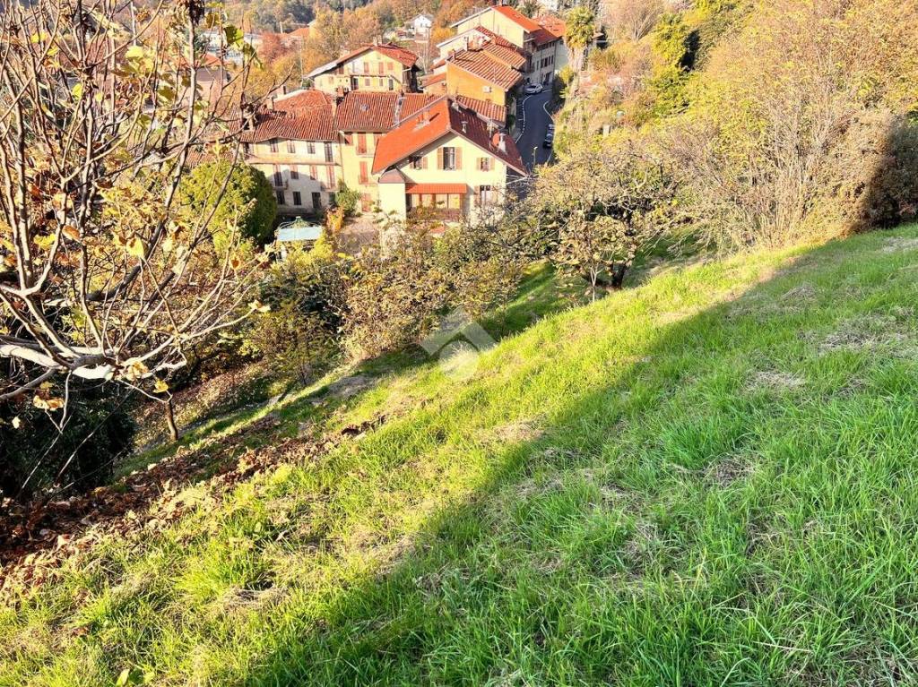 immagine annuncio 2 di 8