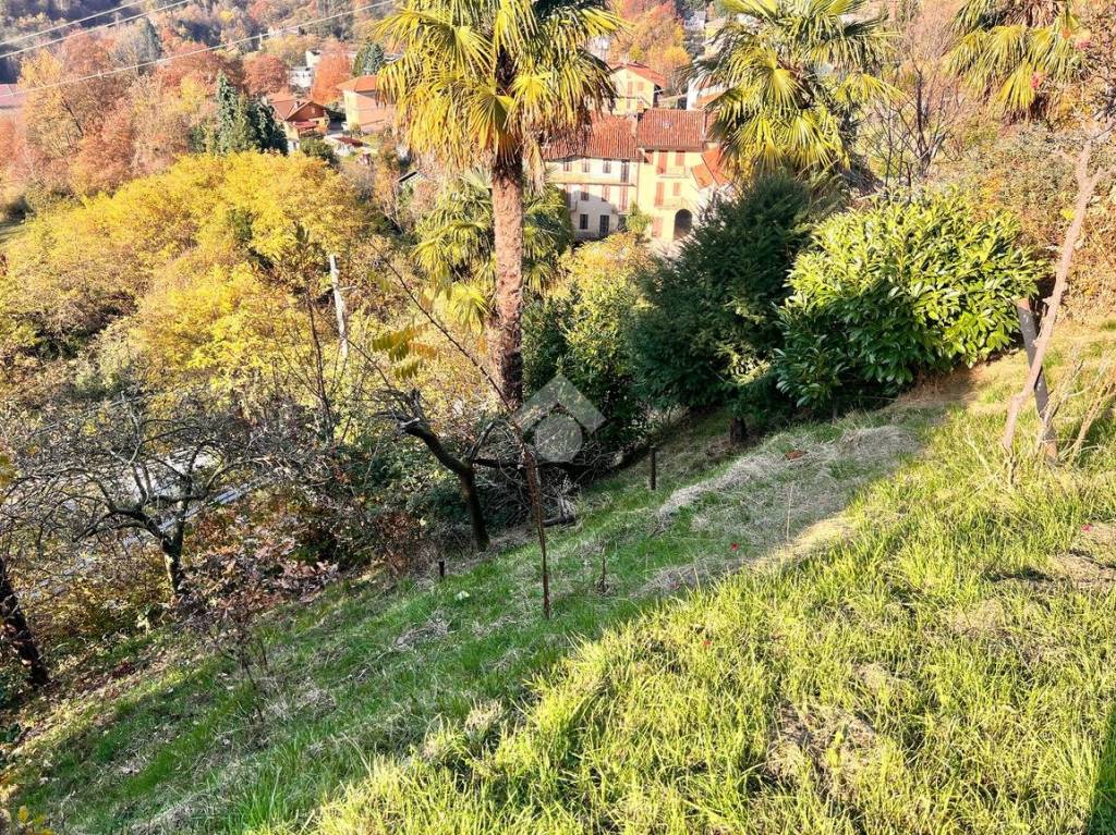 immagine annuncio 7 di 8