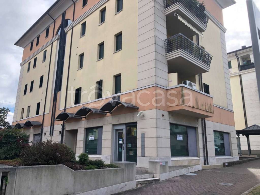 immagine annuncio 3 di 12