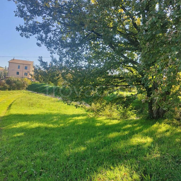 immagine annuncio 2 di 7