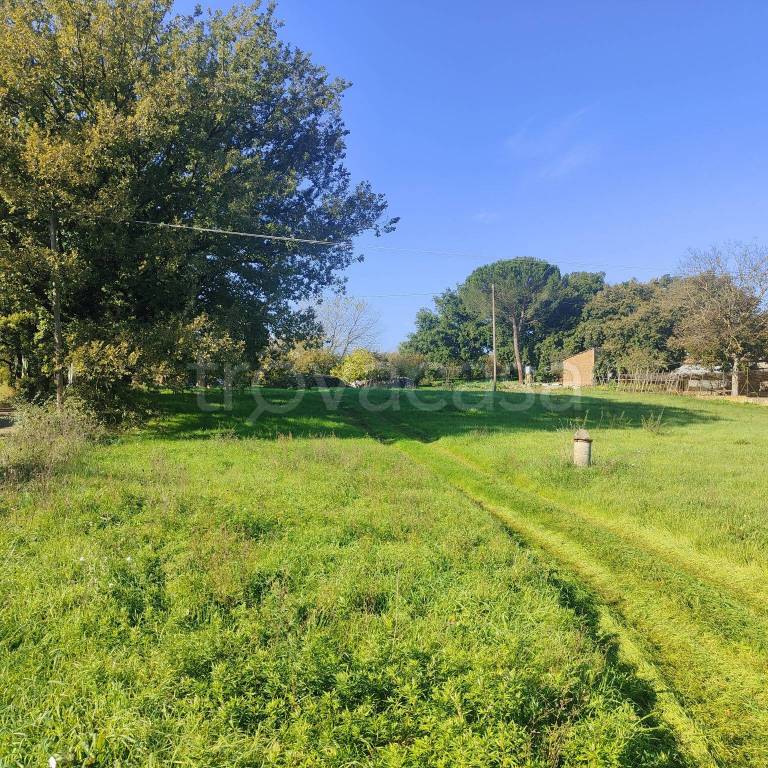 immagine annuncio 5 di 7