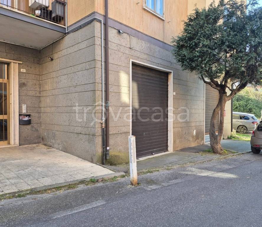 immagine annuncio 2 di 9