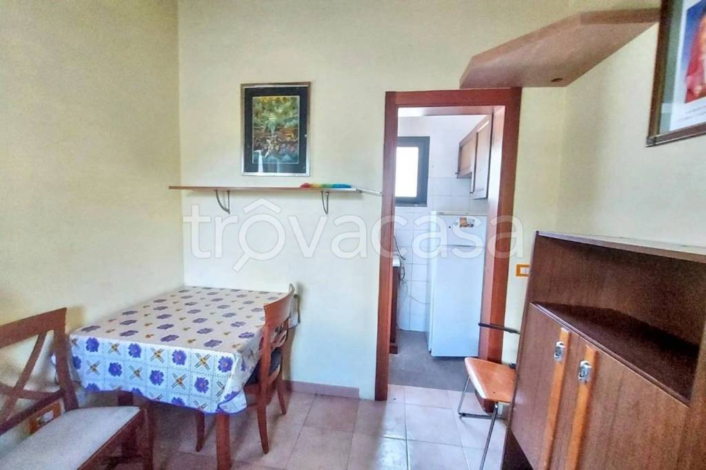 immagine annuncio 9 di 12
