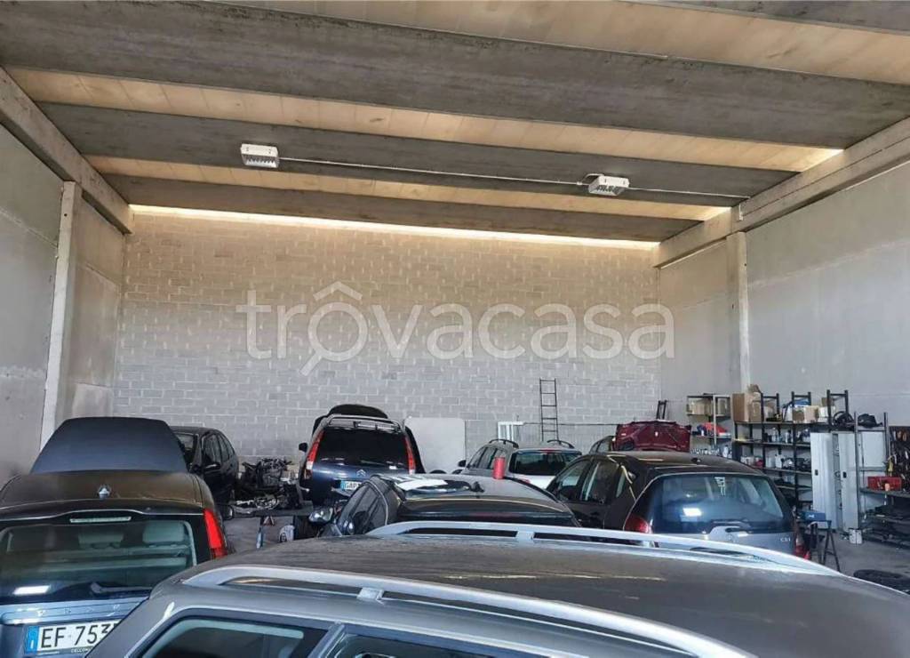 immagine annuncio 9 di 15