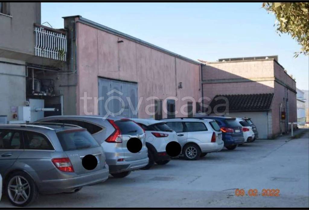 immagine annuncio 4 di 13