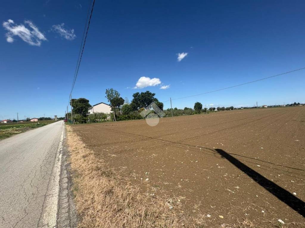 immagine annuncio 5 di 14