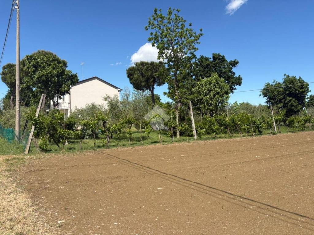 immagine annuncio 7 di 14