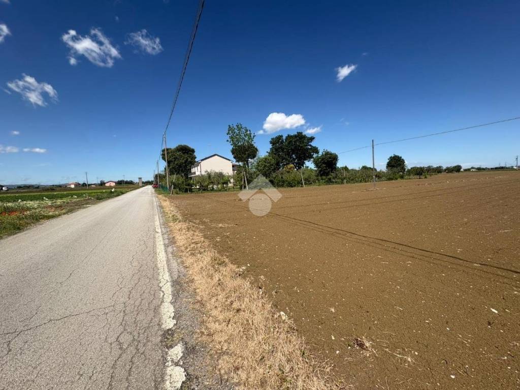 immagine annuncio 11 di 14