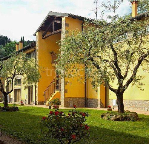 immagine annuncio 5 di 12