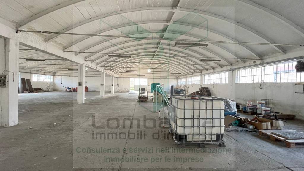 immagine annuncio 2 di 14