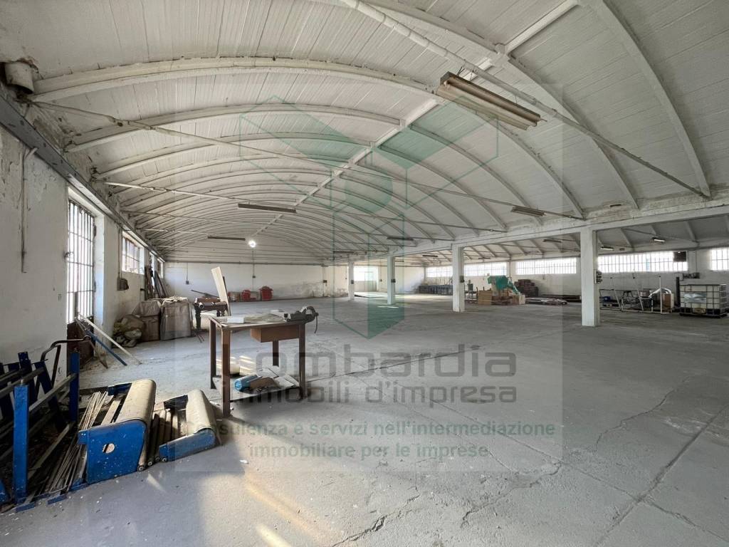 immagine annuncio 1 di 14