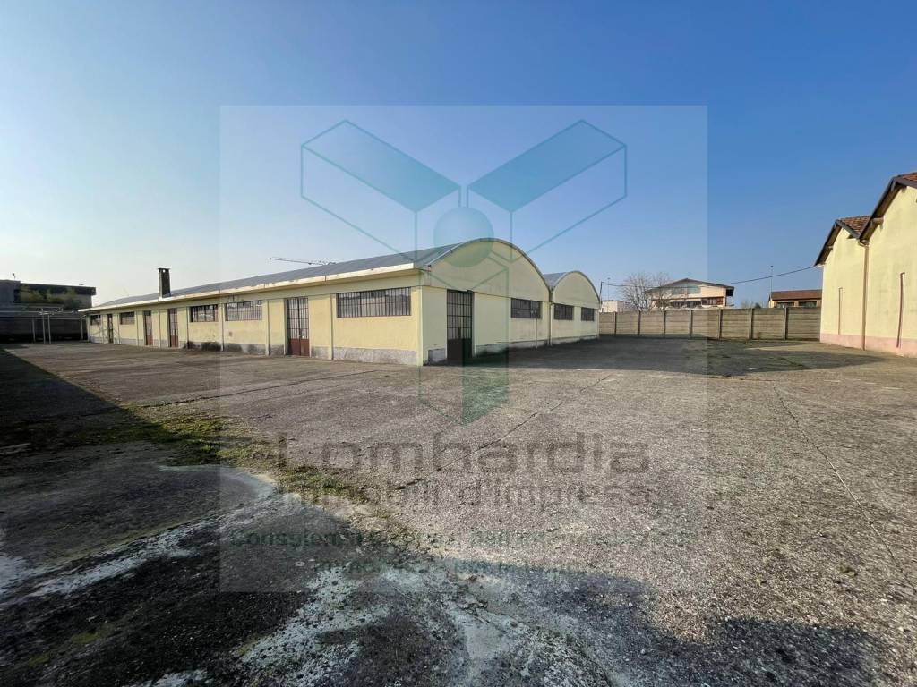 immagine annuncio 9 di 14