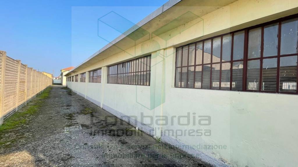 immagine annuncio 12 di 14